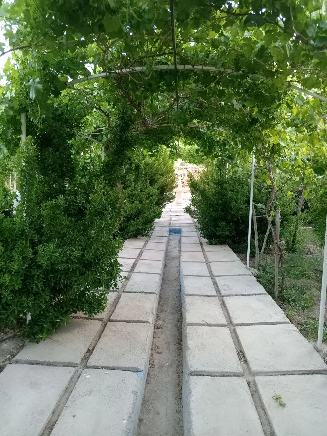 اجاره باغ ویلا آرامش
