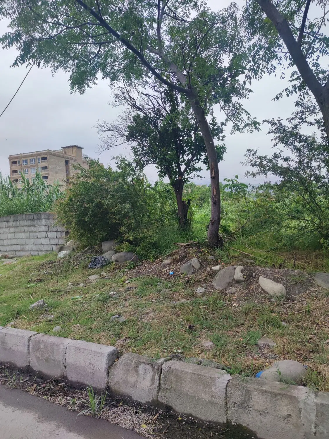 تجاری مسکونی ۱۴ بر براصلی بلوارراهب
