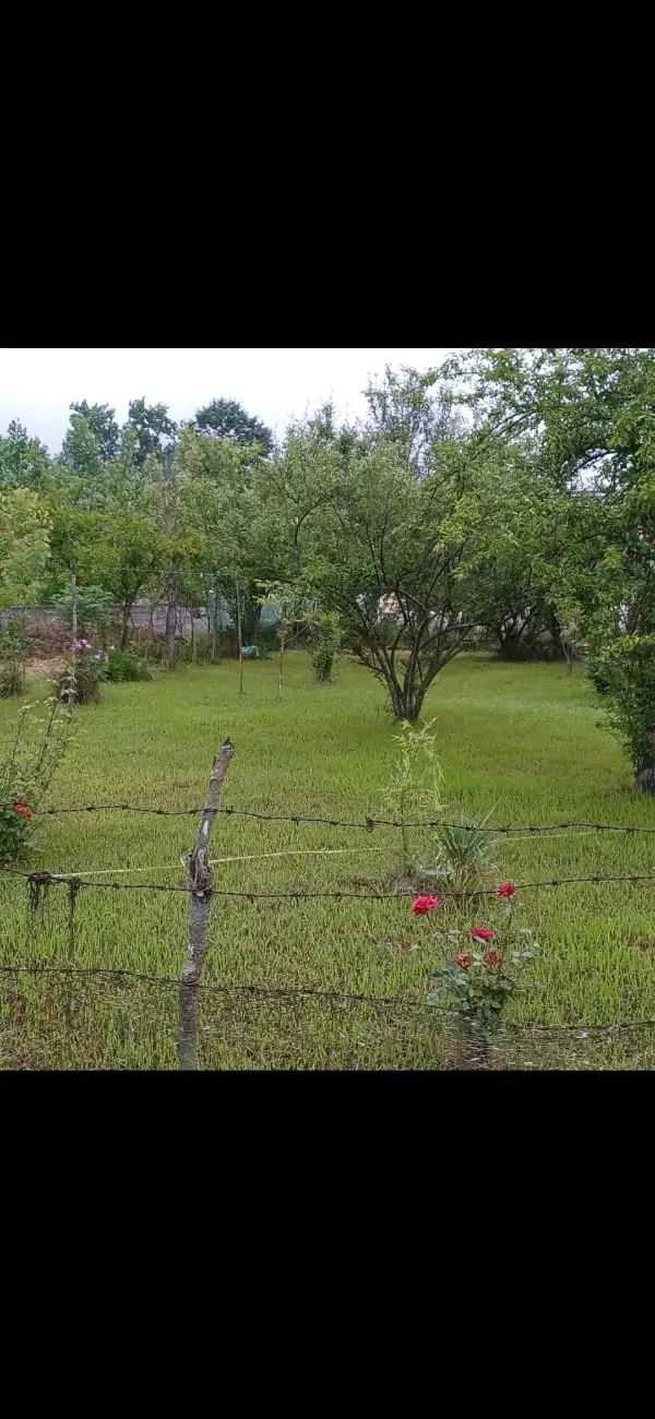 زمین سه بر مسکونی با سند تک برگ