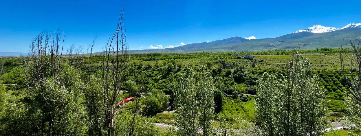 شریک‌برای‌اجاره‌باغ