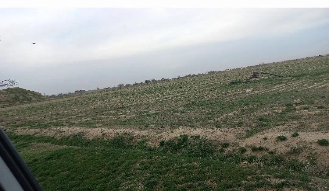 زمین
