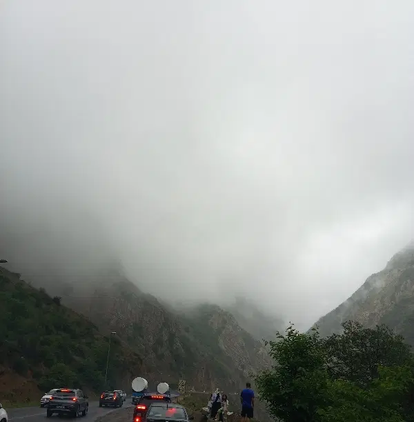 زمین هتل کاملیا