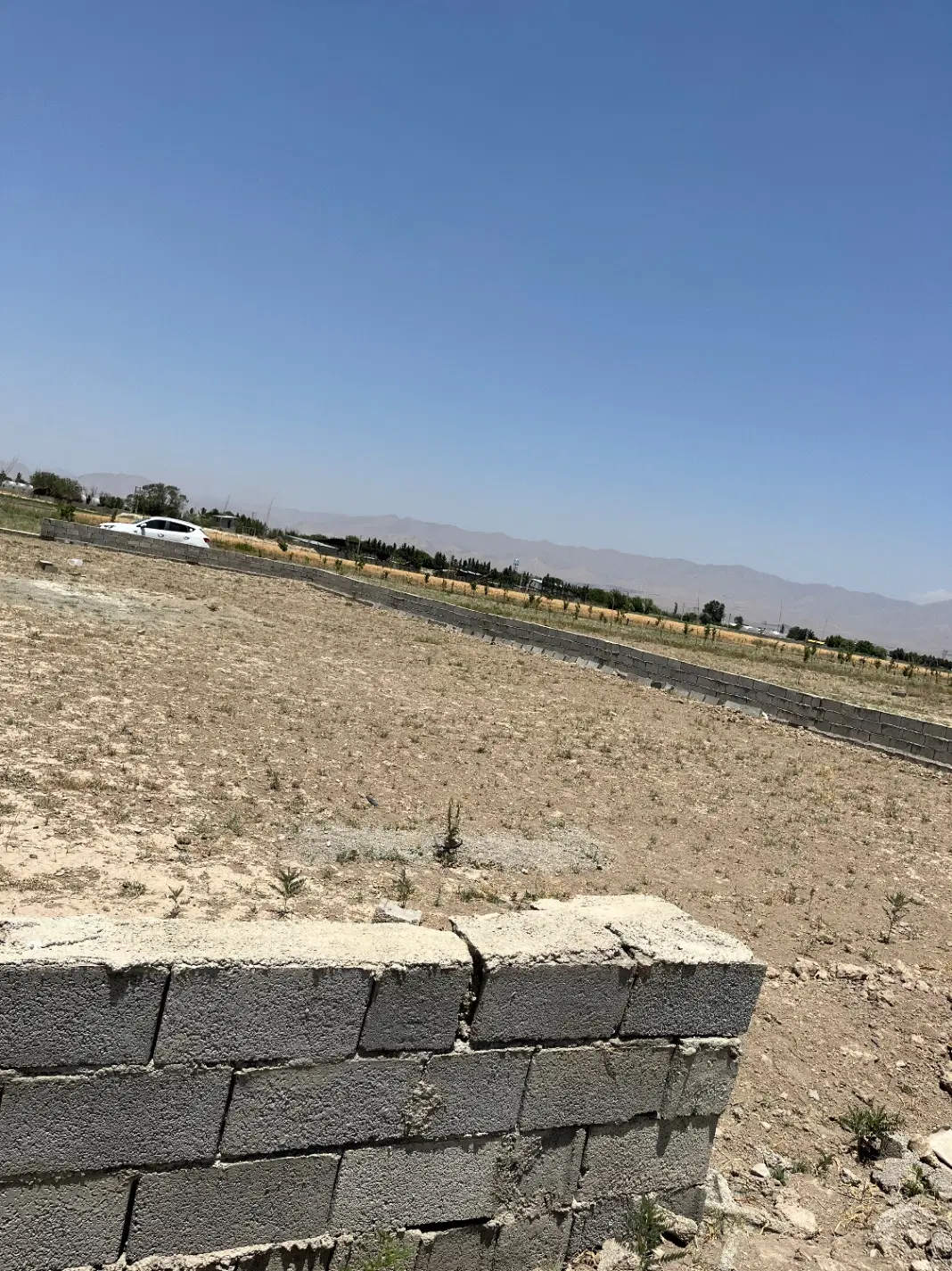 زمین کشاورزی