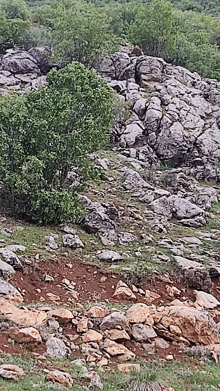 زمین بسیجیان فاز دوم