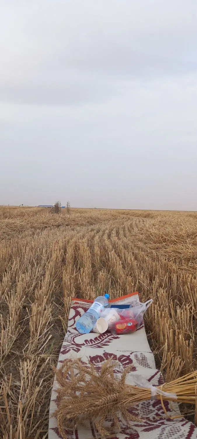 زمین زراعی