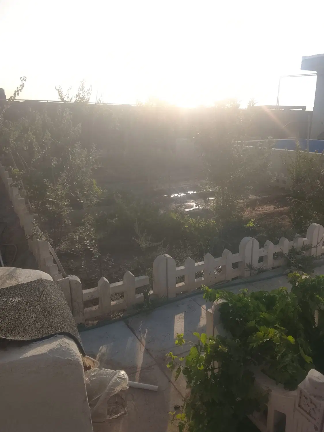 خونه باغ