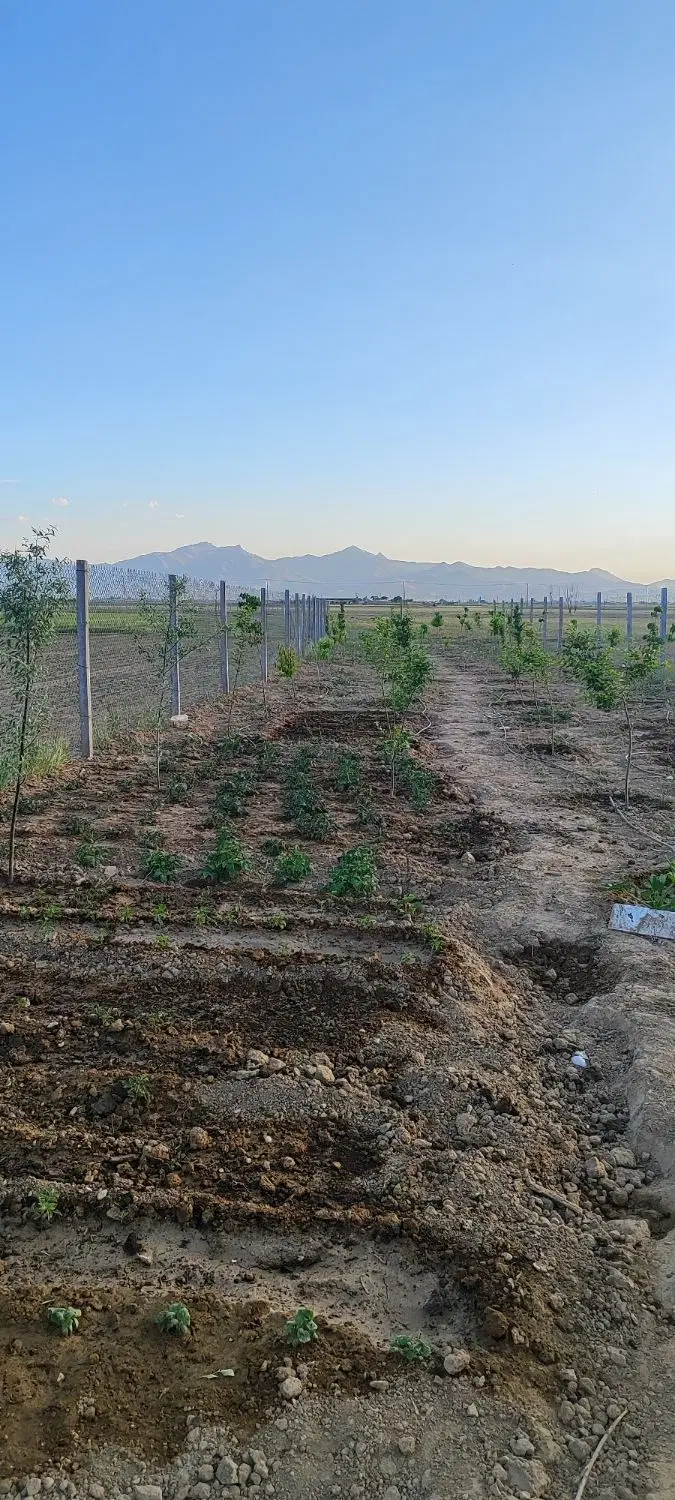 باغ در روستای توریستی اقبلاق لتگاه