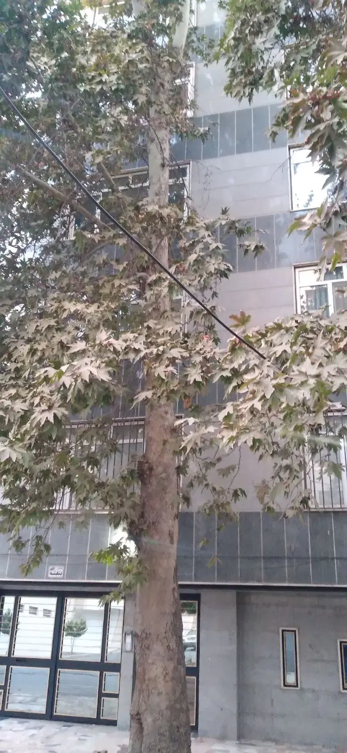 فروش واحد۶۴مترمهرشهربلوار ارم