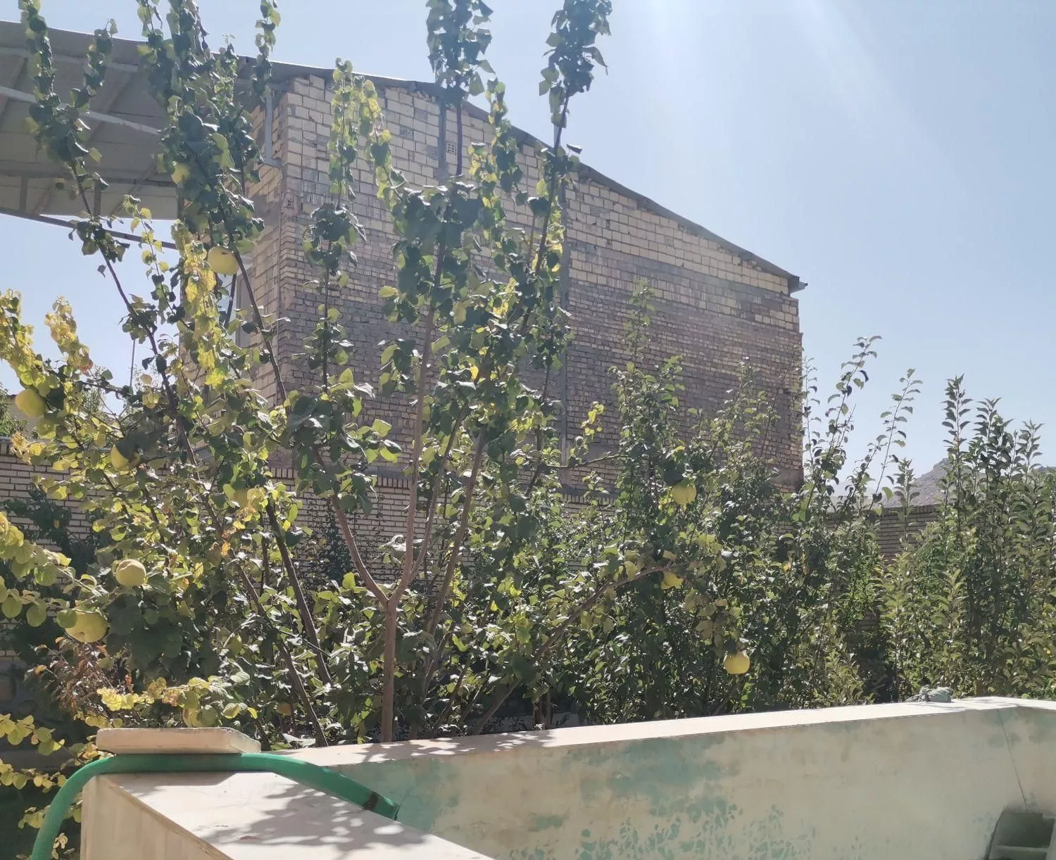 فروش خانه باغ 300 متری