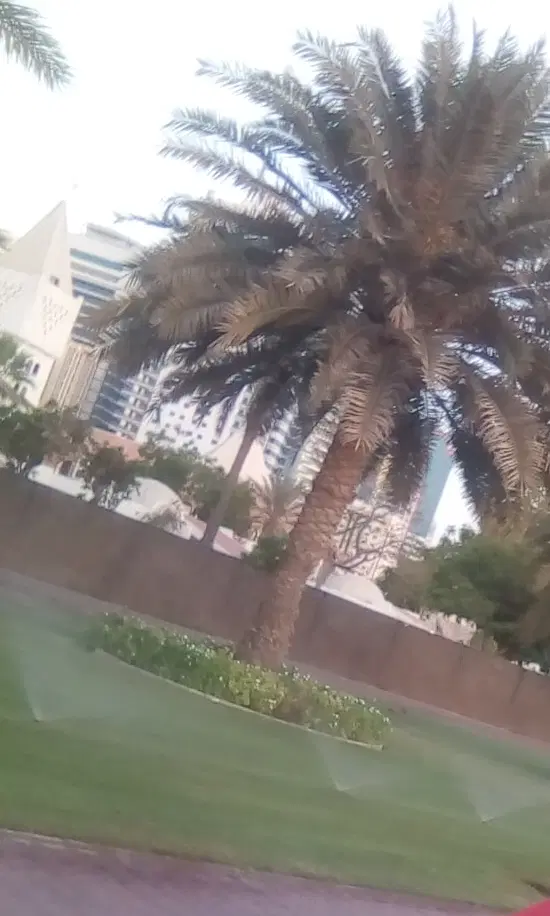 فروش زمین