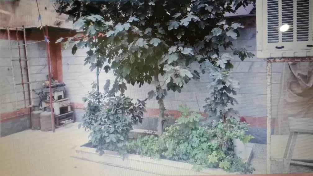 اجاره خانه ویلایی