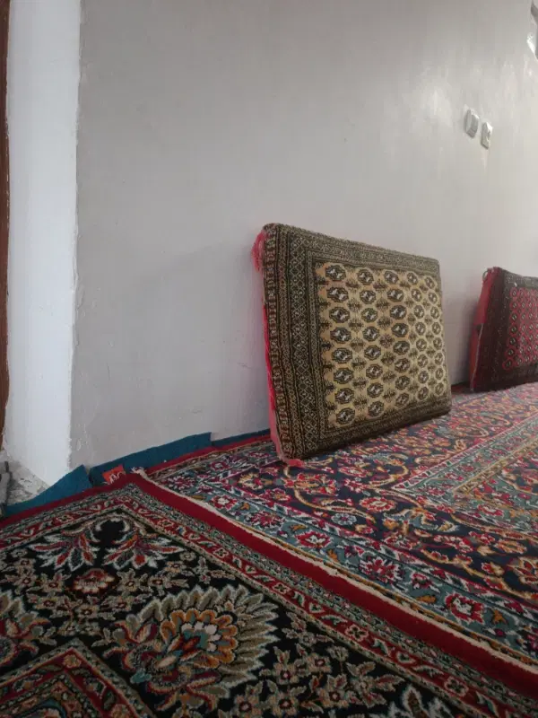 همخانه فوری