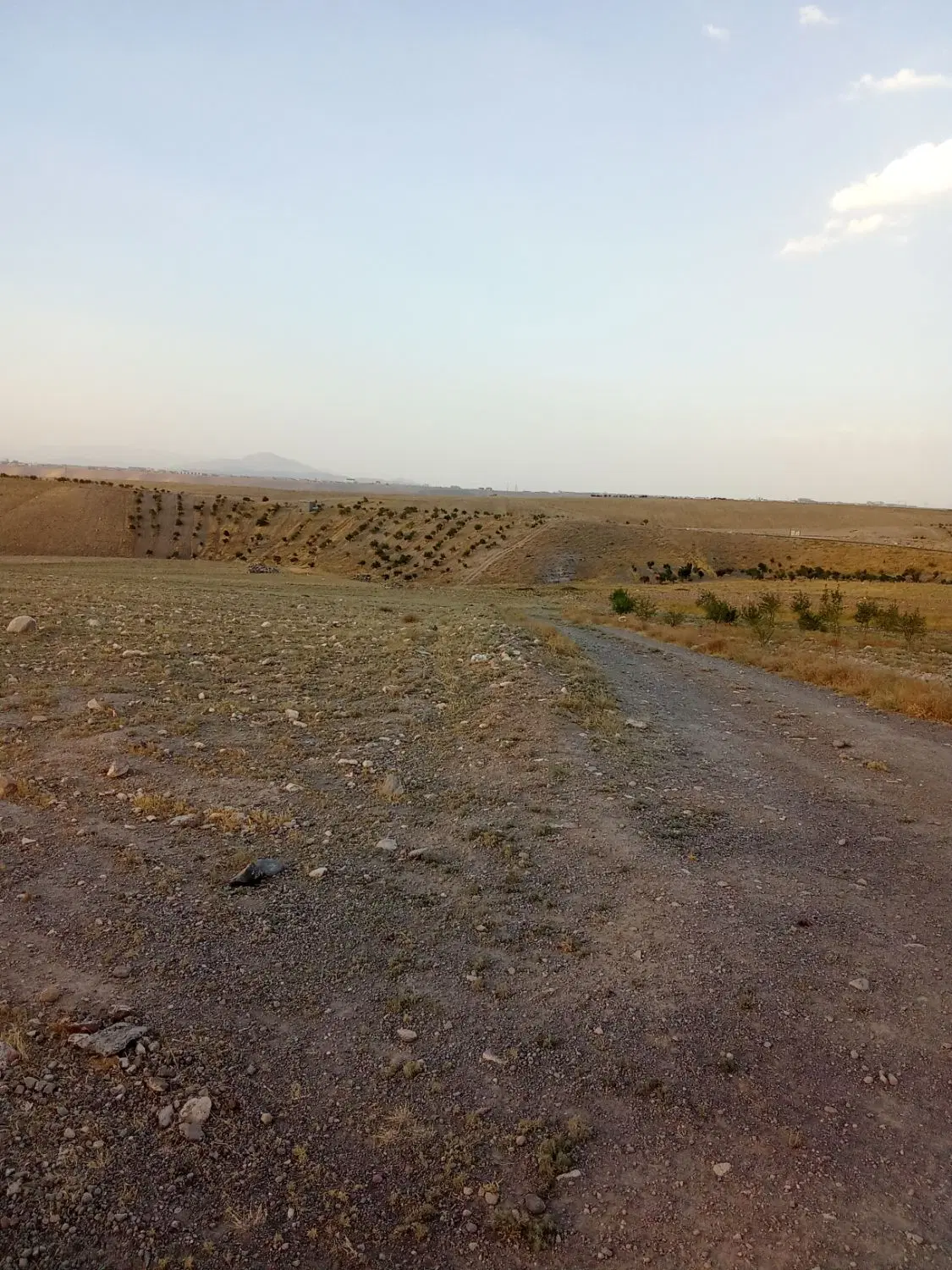 فروش زمین در اسنجان