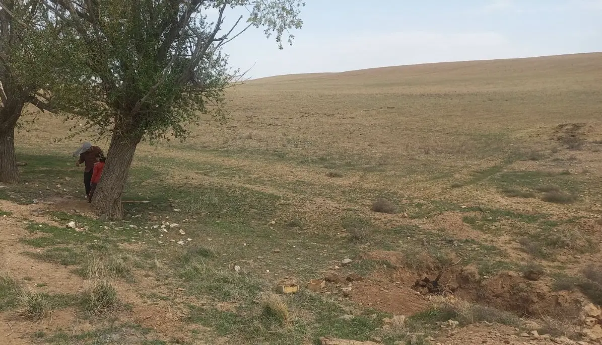 ۱۷هکتار زمین دیم زار اجاره داده میشود