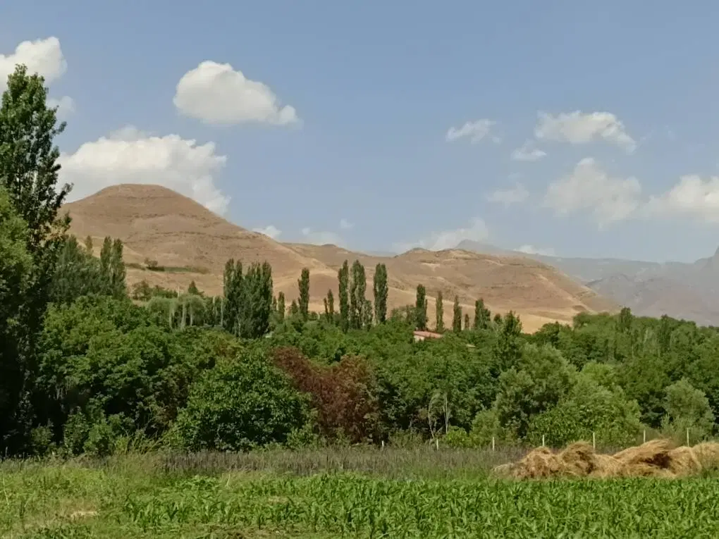 فروش زمین ۷۰۰ متری در بهترین جای طالقان