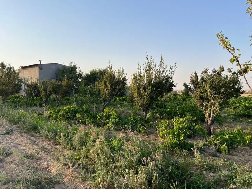 ویلا باغ دارای کنتور برق مرزیجران