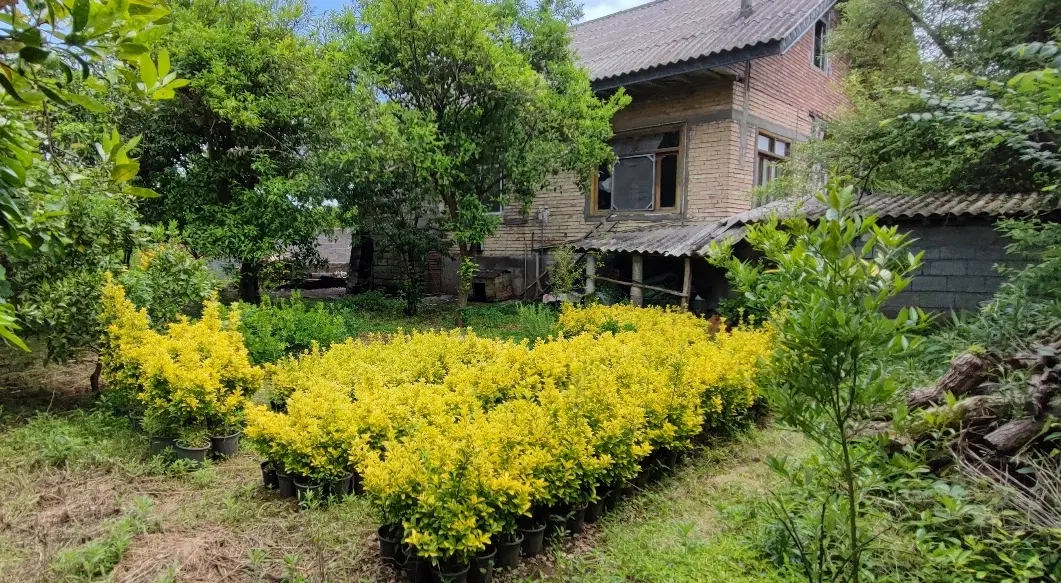 زمین مسکونی