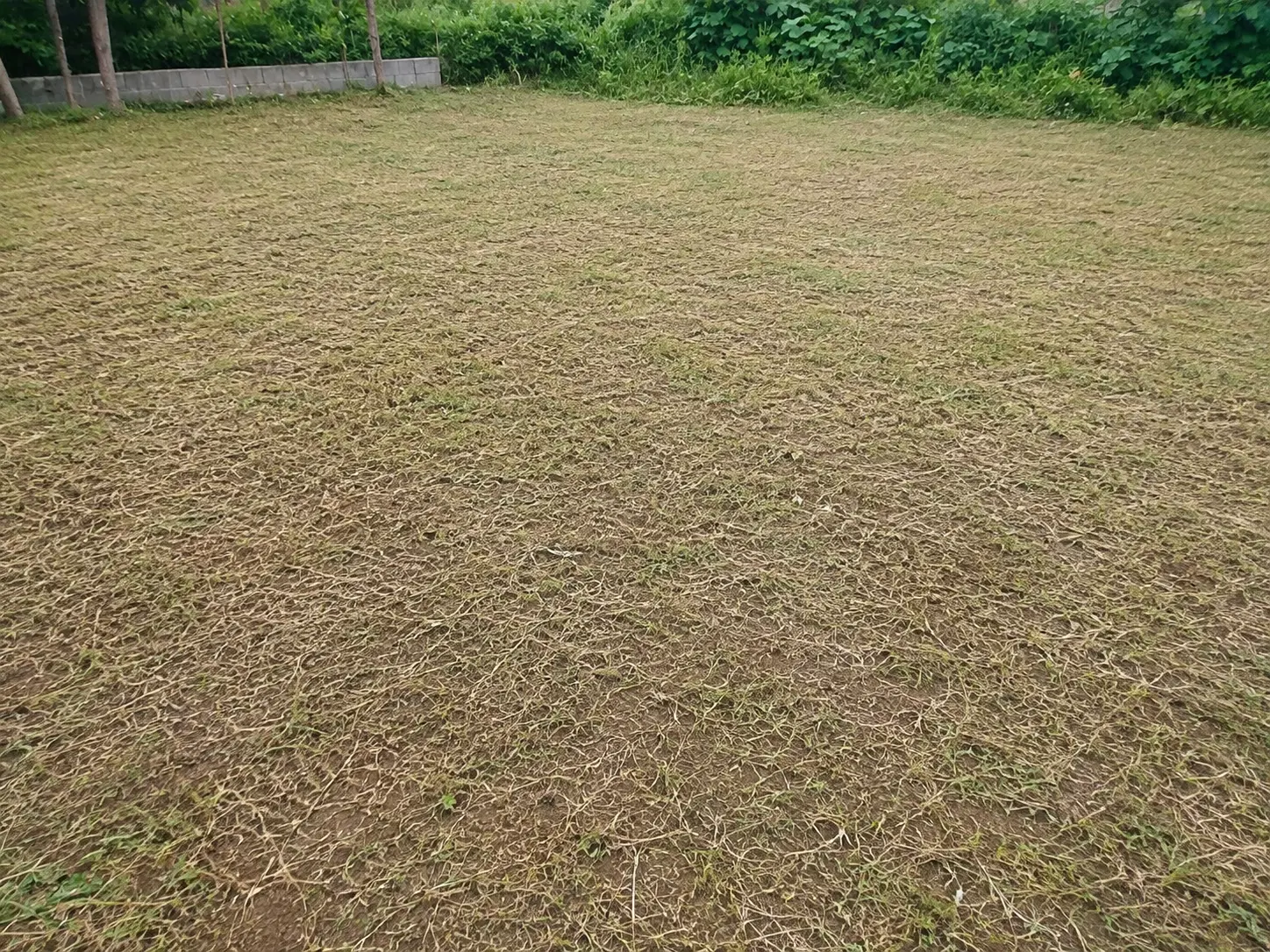مستطیل بی نقص
