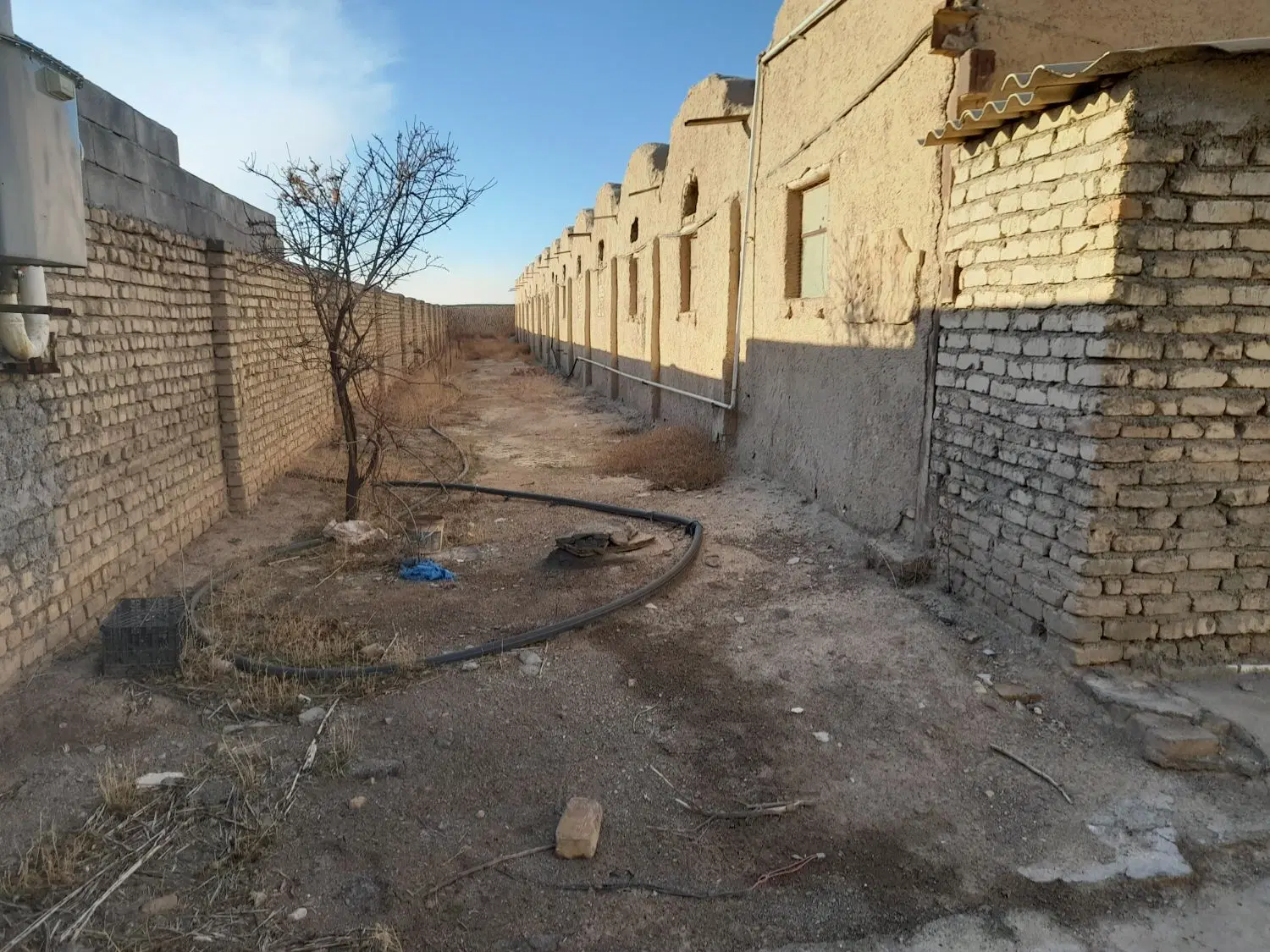 فروش مرغداری