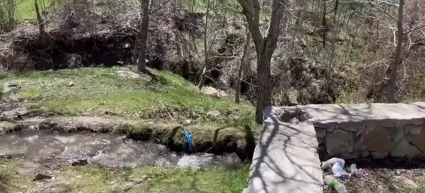 فروش باغ گردو ۲۰کلیومتری همدان در روستای گوشلان