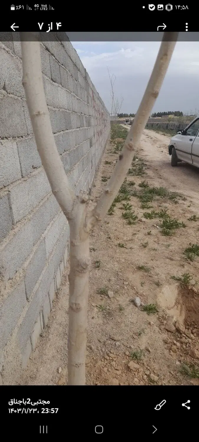 زمین مناسب باغ ویلا