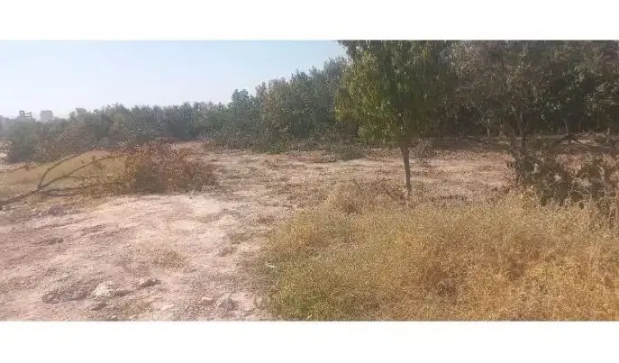 زمین مسکونی ۴۰۰ متر