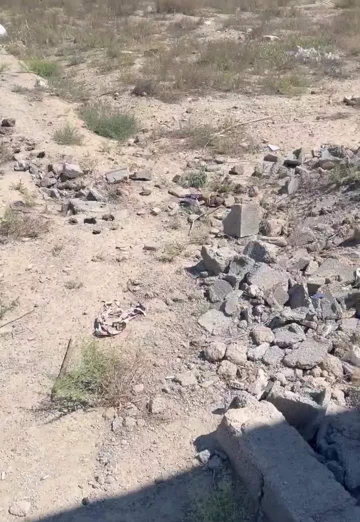 فروش زمین مناسب باغ و سوله دهشاد بالا کمپ ۱۶ غربی