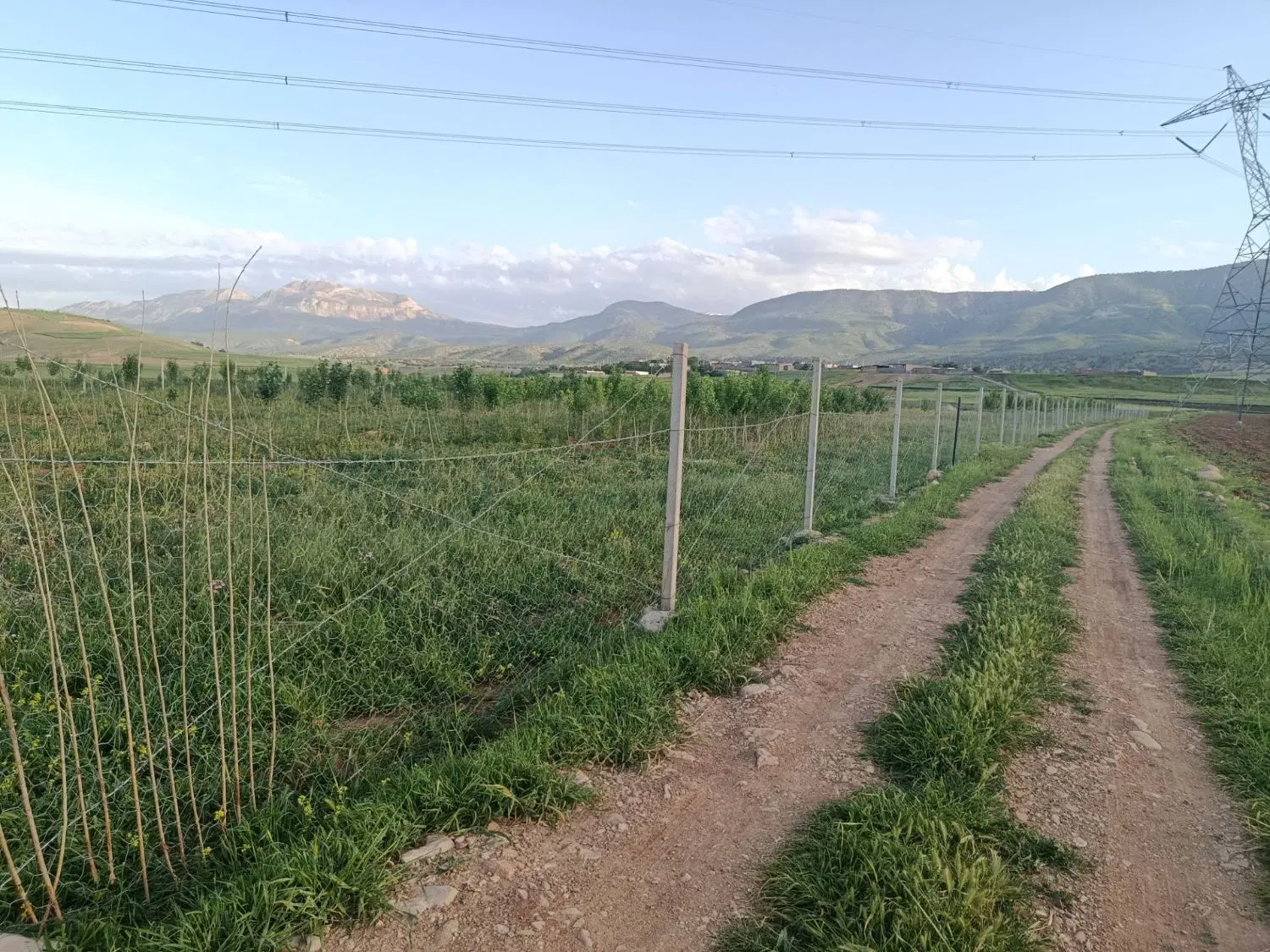 زمین ۷۵۰۰ متری سالی بزرگ با آب چاه و برق