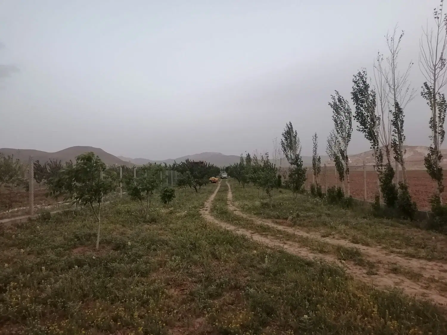 فروش باغ 5 ساله