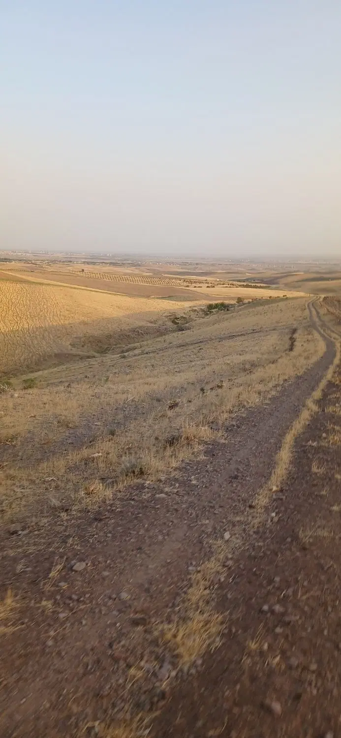زمین کشاورزی
