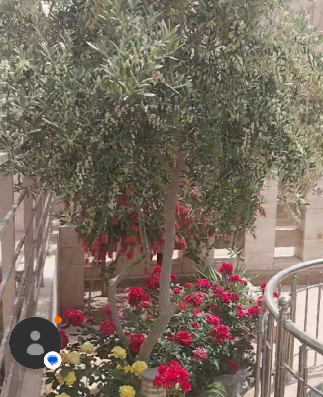 آپارتمان ۲۲۸ متری ملک شهر