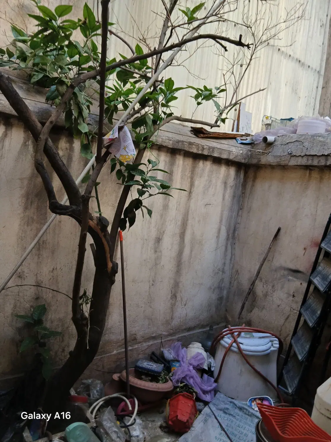 خانه دربستی ویلایی دوطبقه