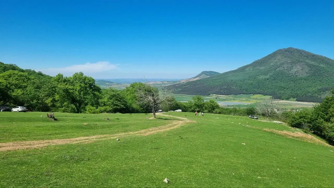 زمین باغی