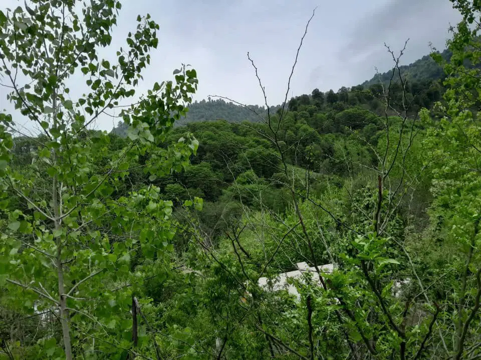 ویلا روزانه دوخواب