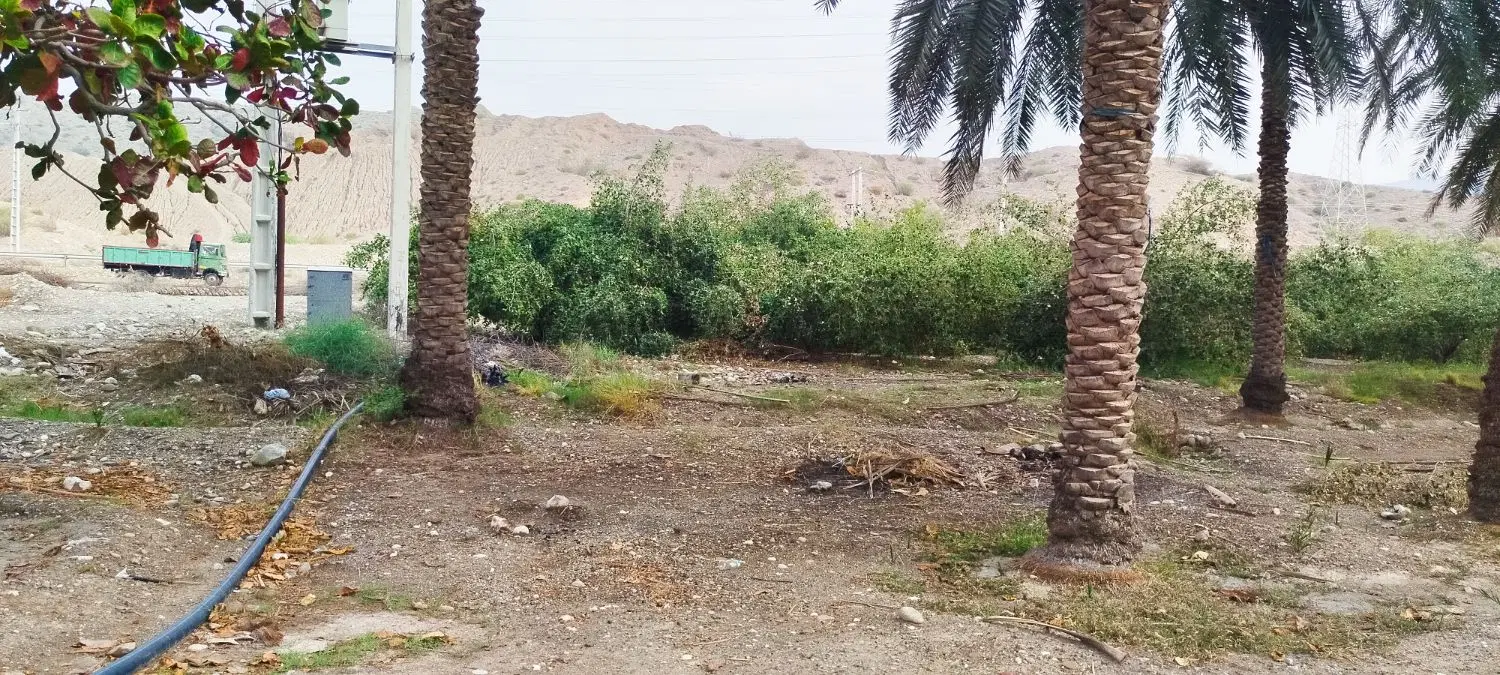 فروش باغ، زمین کشاورزی و ساختمان گاوداری