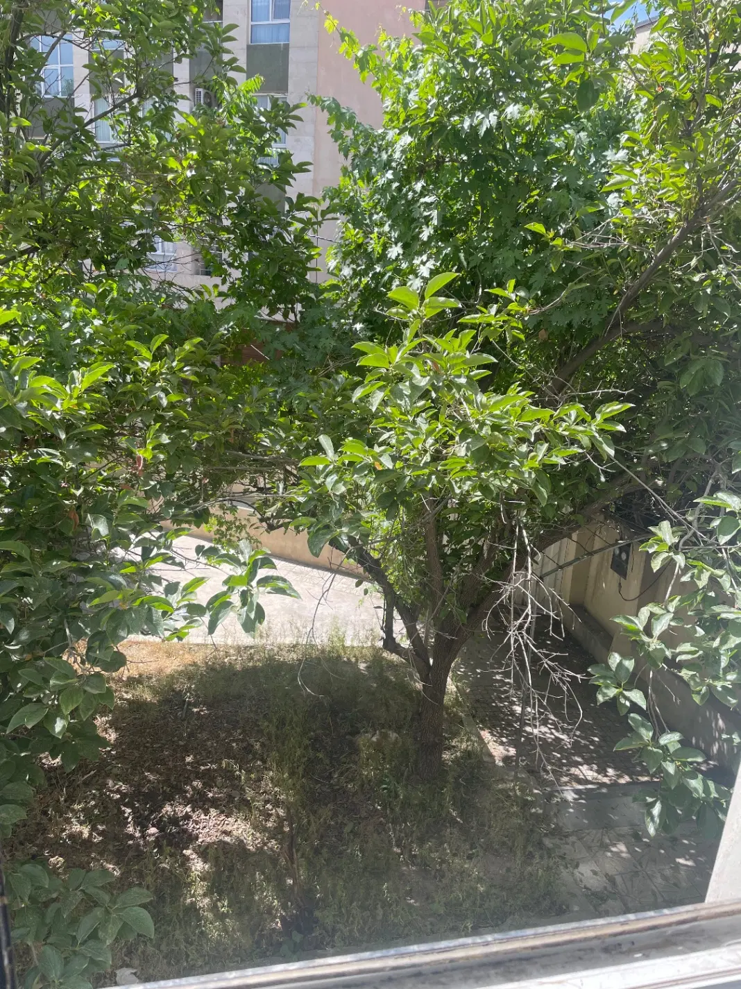 خانه دربستی