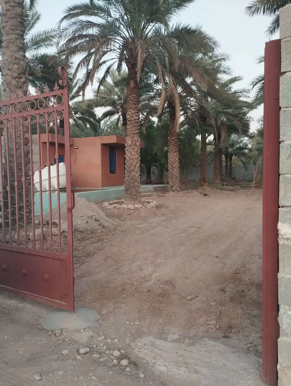 فروش باغ شهری ۲_۵۰۰متری با سند تک برگ در تیچنگ