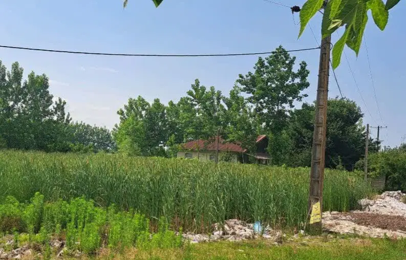 ۳۰۰ متر زمین مسکونی دافسار شفت