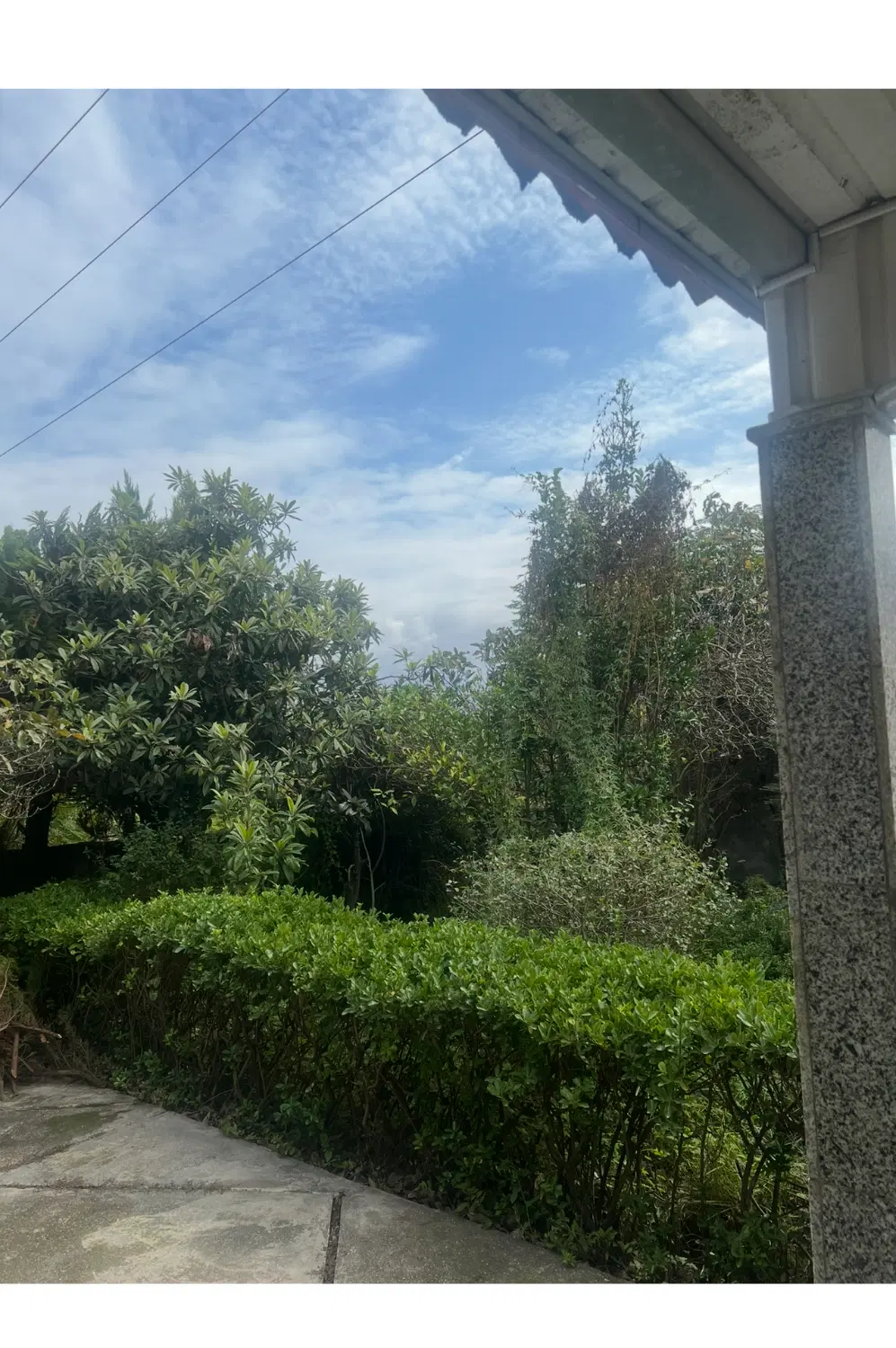املاک