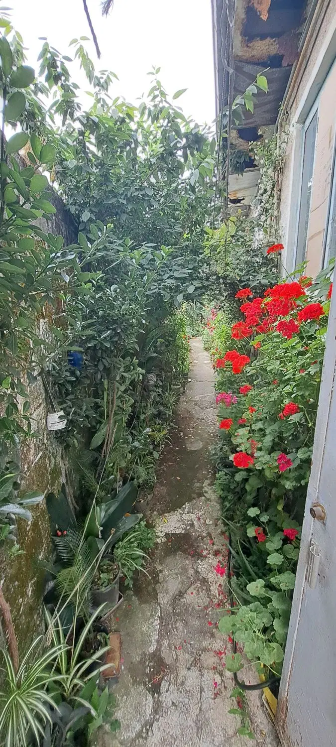فروش خانه ویلایی ناسیونال