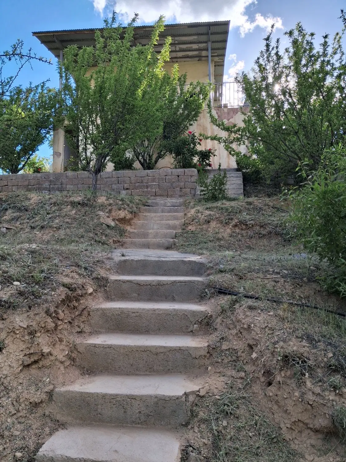 خونه باغ