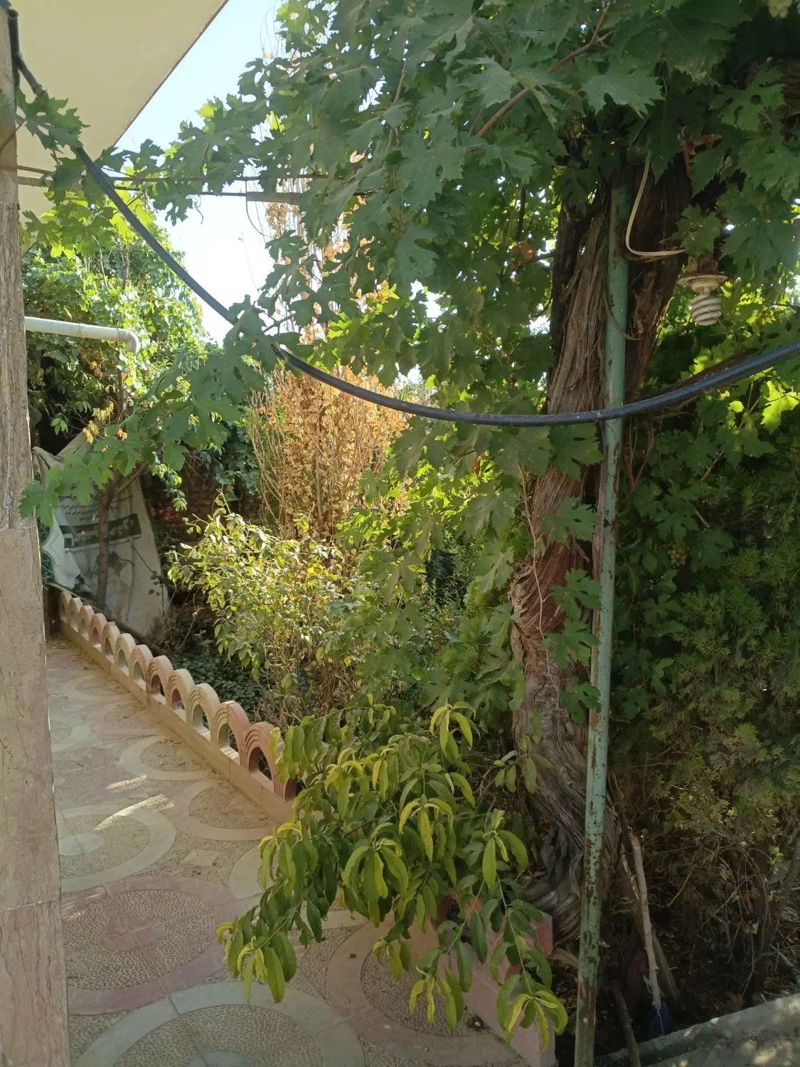 باغچه یوسف رضا۱۱۶۲معاوضه با مسکونی ورامین