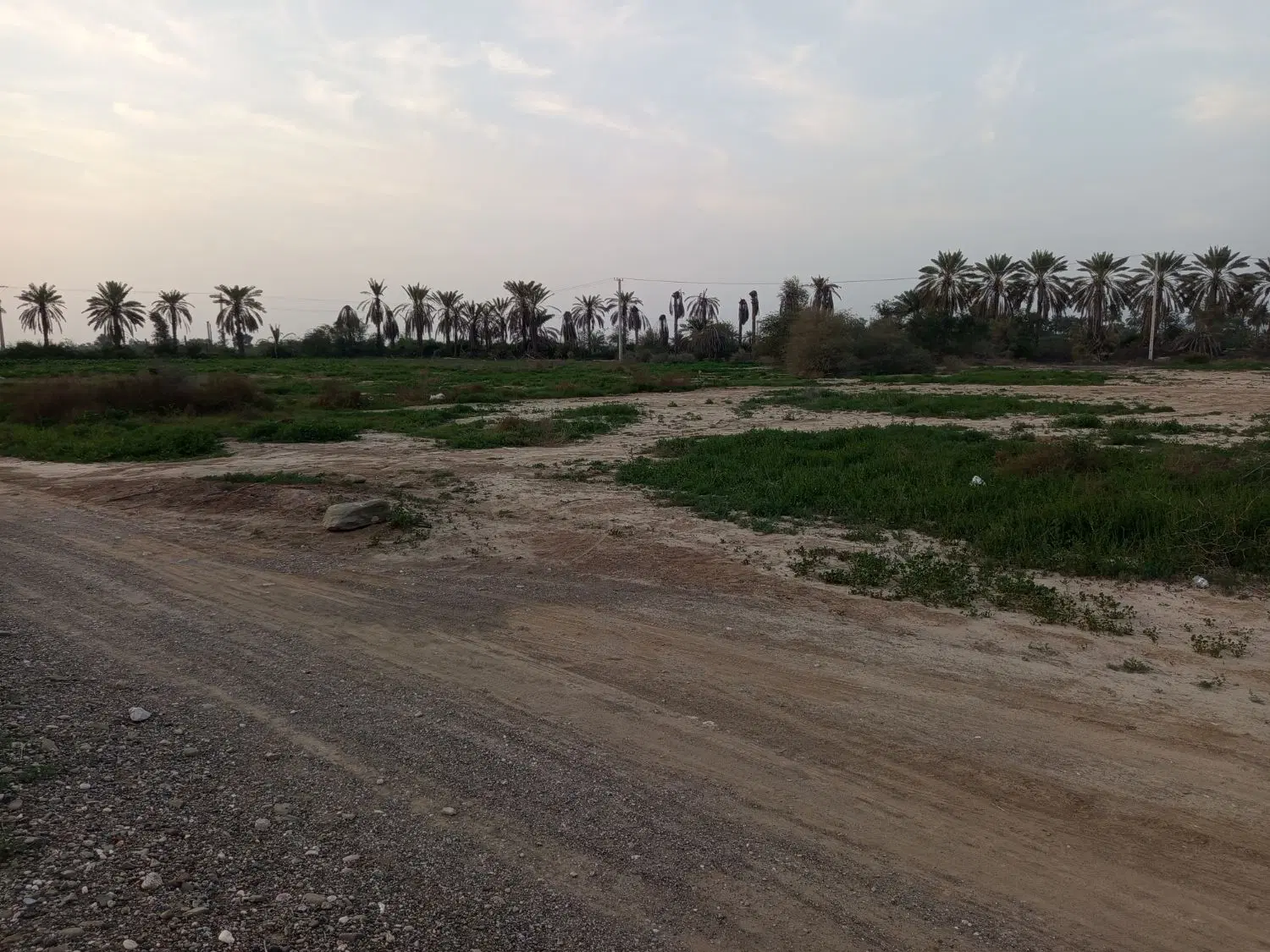 زمین کشاورزی سه هکتار