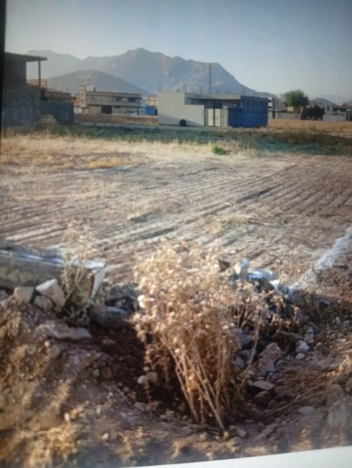 زمین