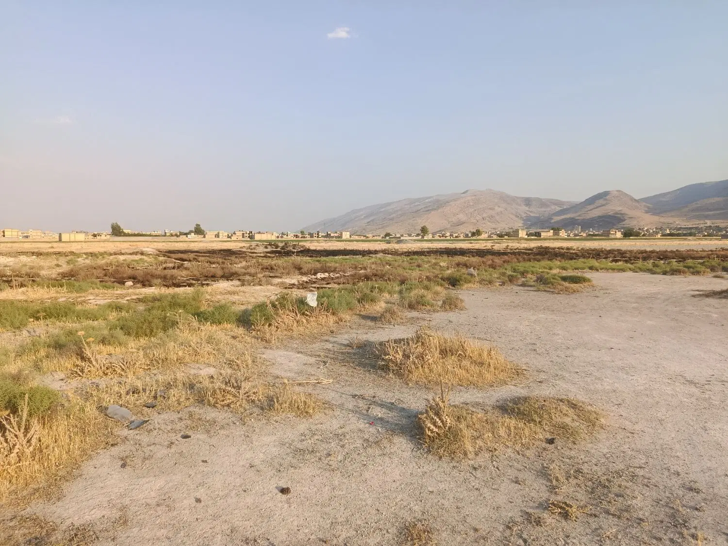 زمین شیراز