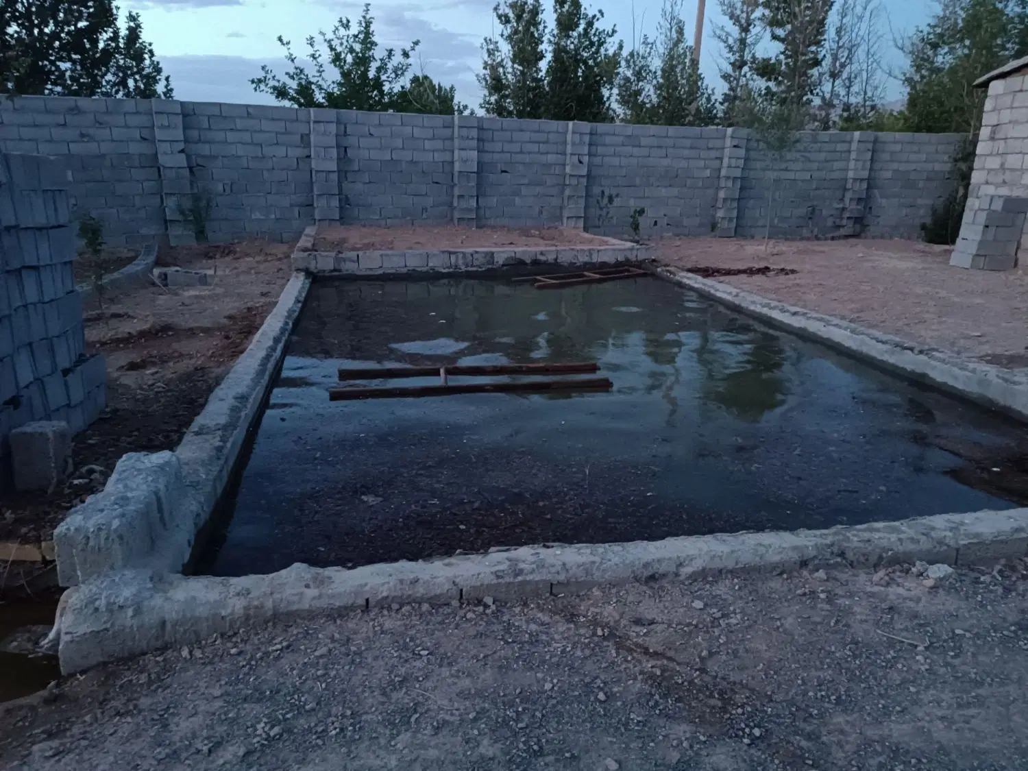 باغ درختان باغ میوه