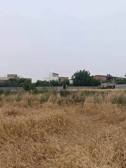 زمین سیادک مرزبانی