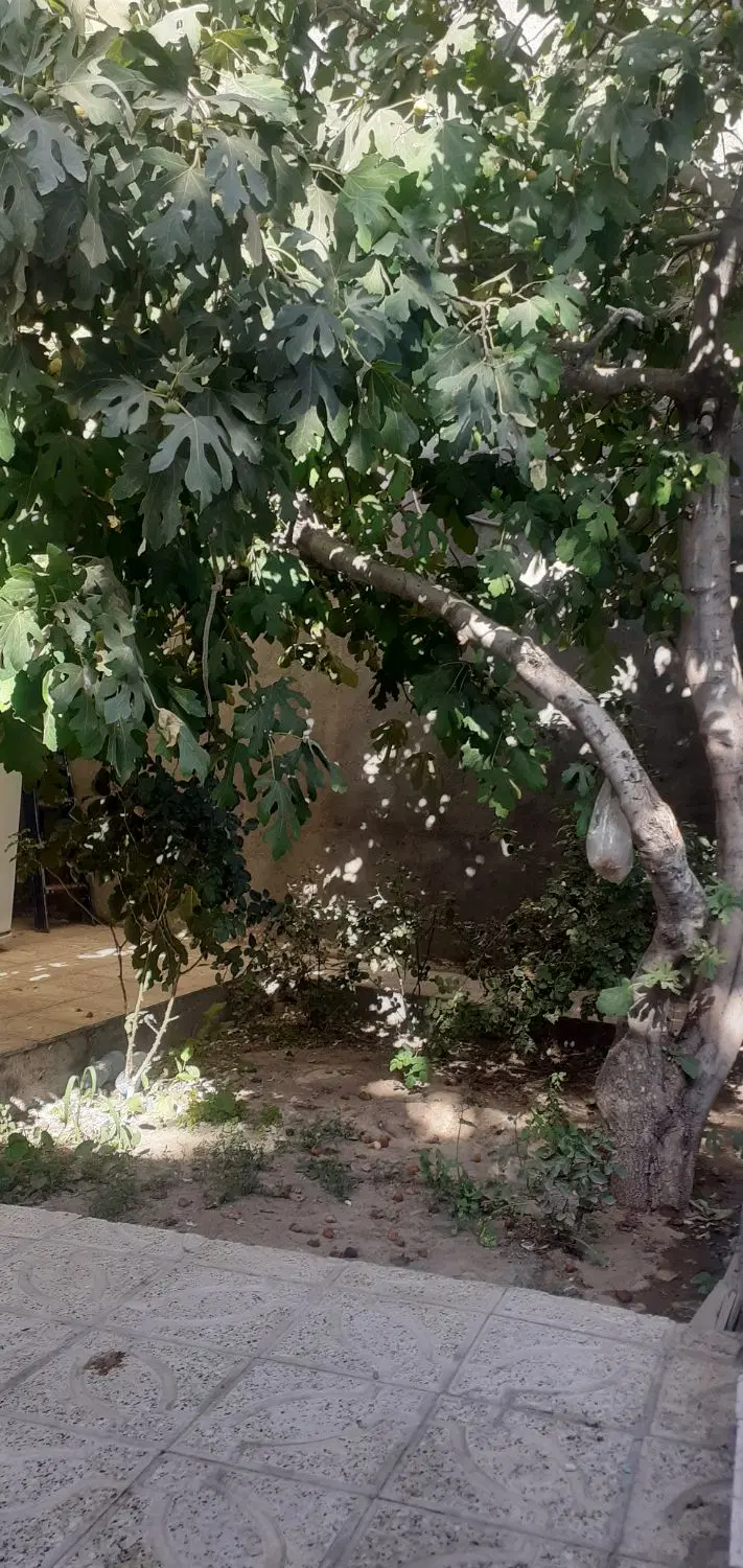 ویلایی ۱۶۰متری واقع در شاندیز