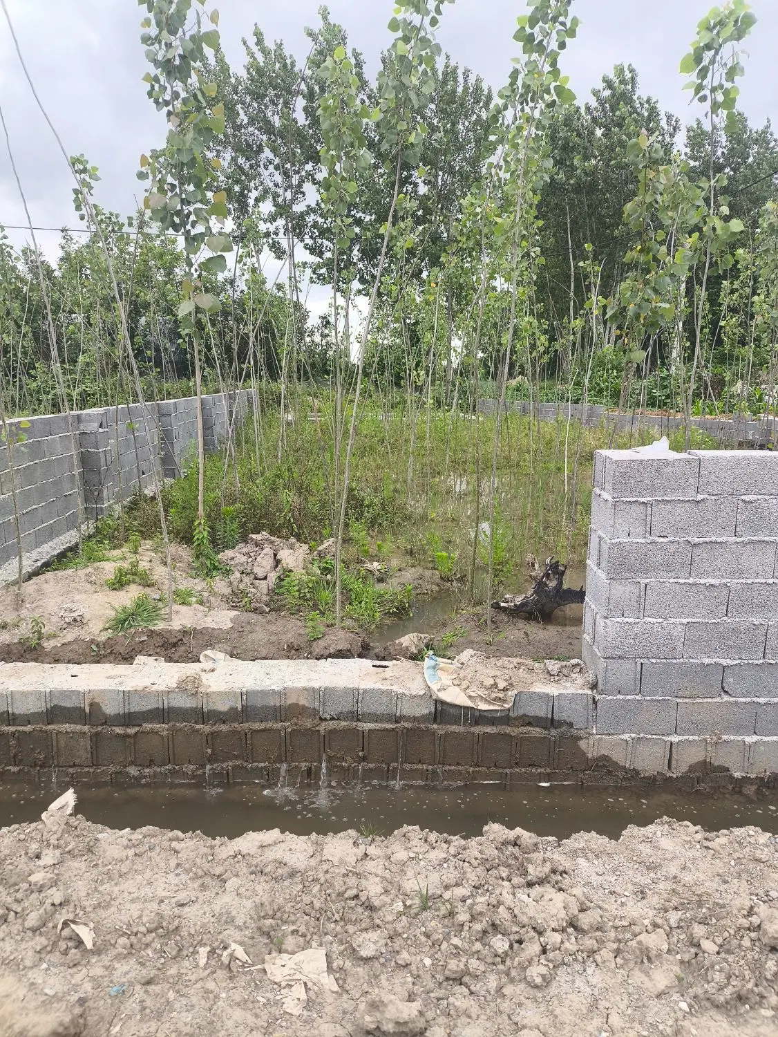 زمین زراعی داخل طرح هادی
