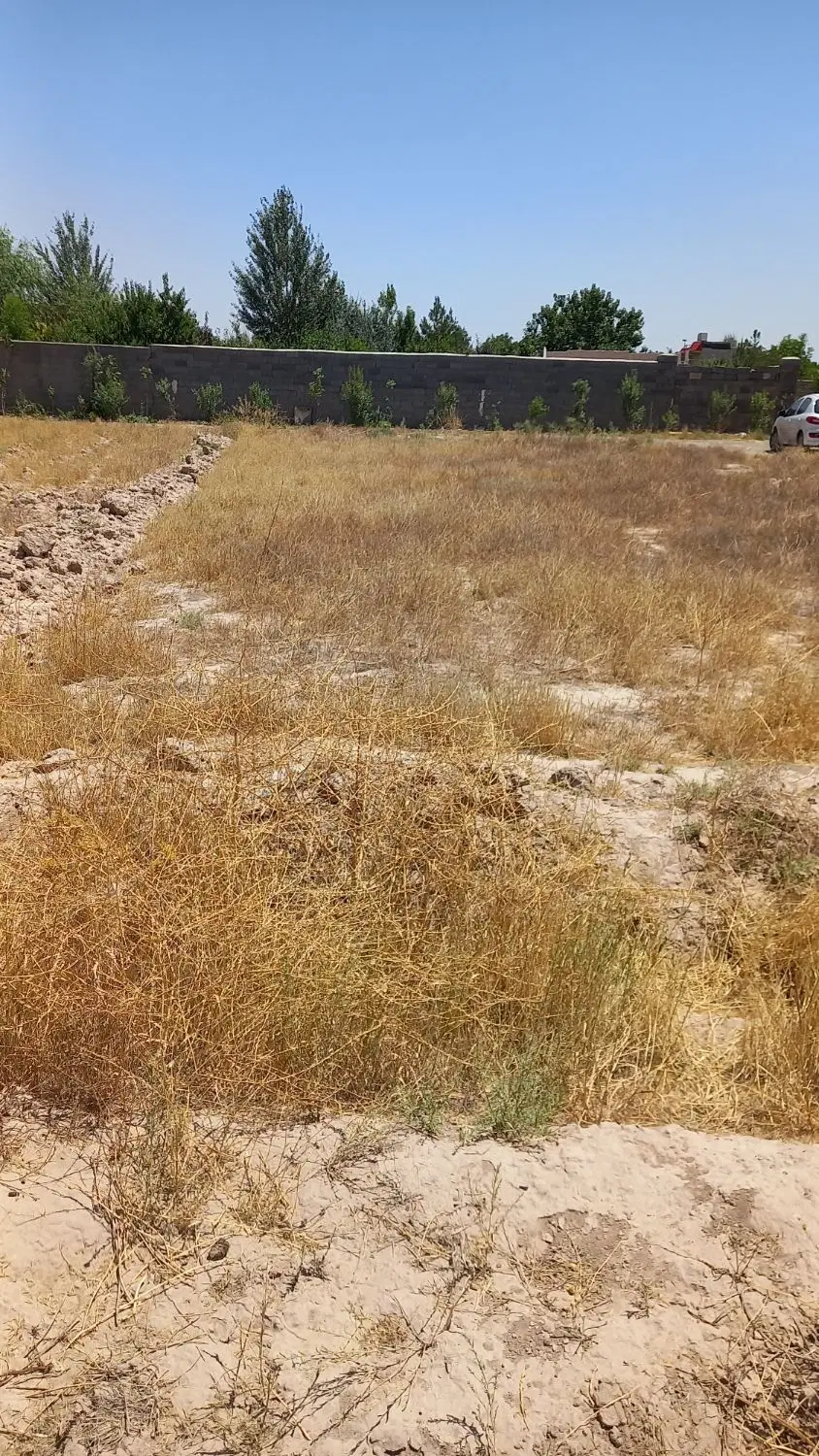 زمین ویلایی با آب
